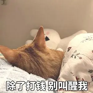 表情包